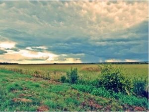 Scenic view of Enchanted Rock in Texas