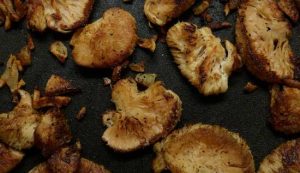 Lion's Mane Spiritual Benefits