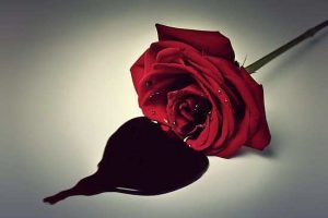 Bleeding Words heartbroken Shayari