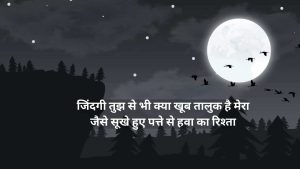 Zindagi Shayaris of All Time