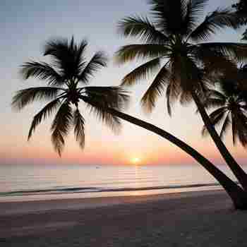 Travel