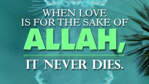 Islamic status in English